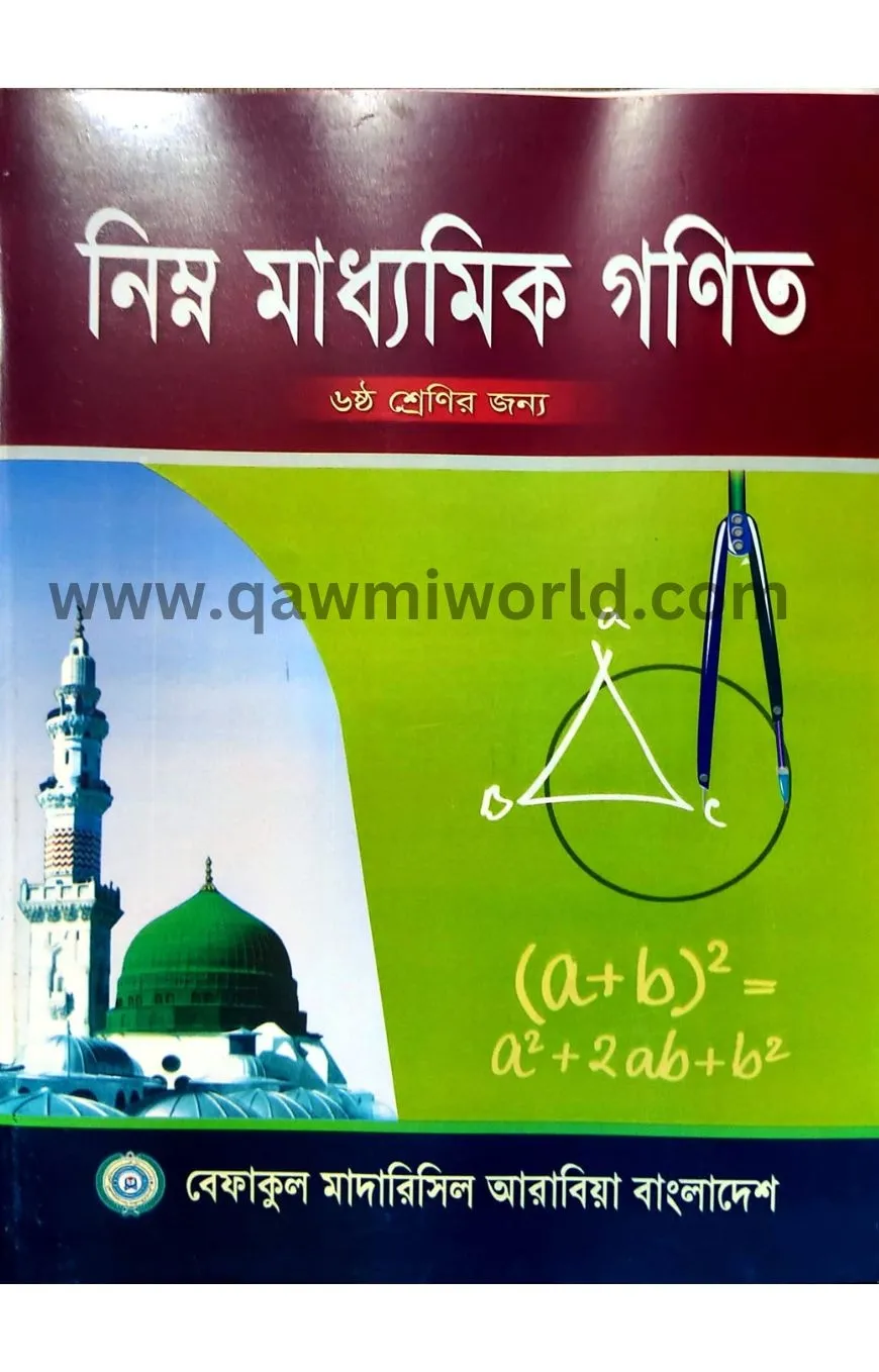 নিম্ন মাধ্যমিক গণি